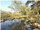 8199 Armidale Road, Lower Creek NSW 2440