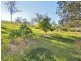 1890 Dungay Creek Road, Wittitrin NSW 2440