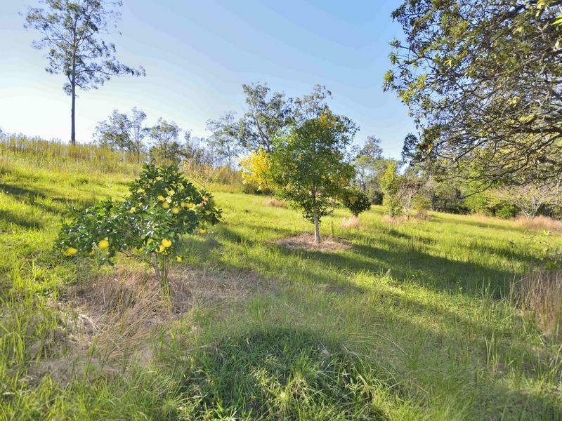 1890 Dungay Creek Road, Wittitrin NSW 2440