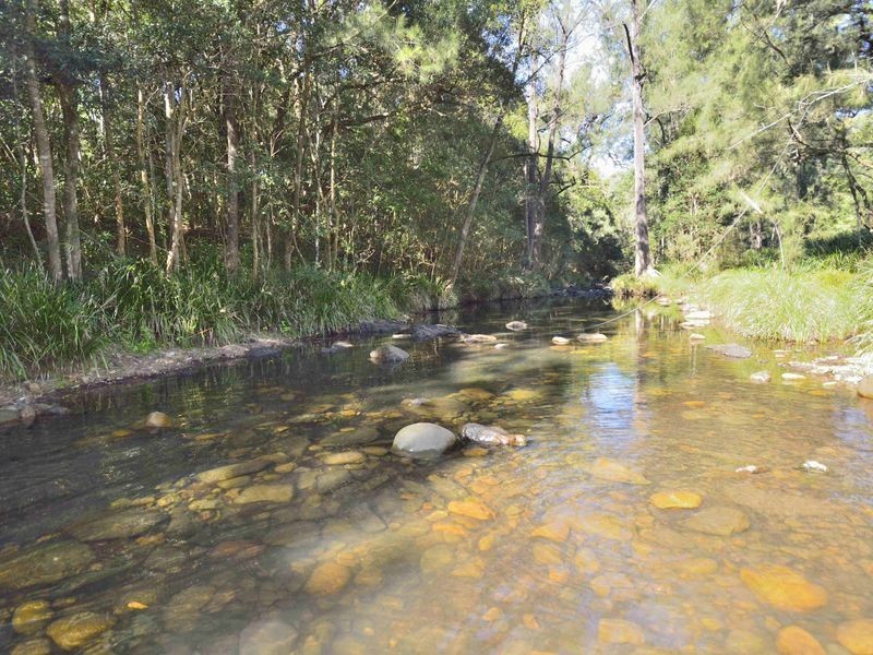 1890 Dungay Creek Road, Wittitrin NSW 2440