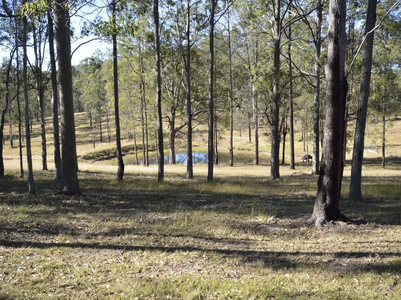 297 Mungay Creek Road, Mungay Creek NSW 2440