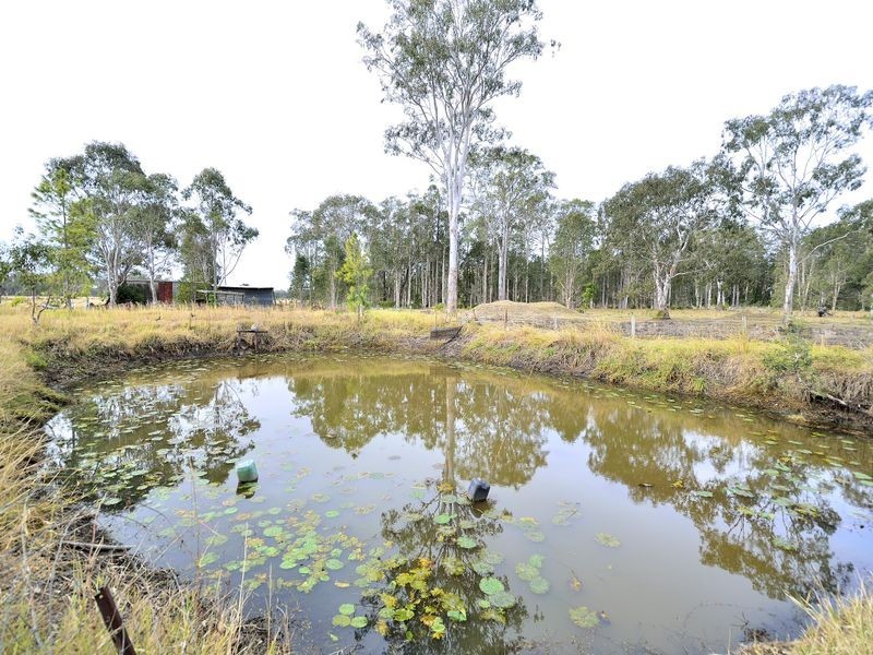 335 Blackmans Point Road, Blackmans Point NSW 2444