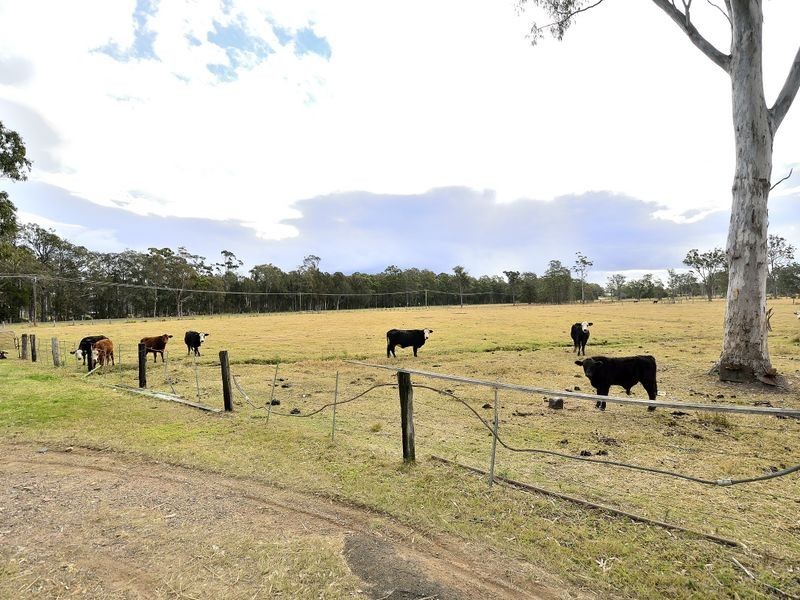 335 Blackmans Point Road, Blackmans Point NSW 2444