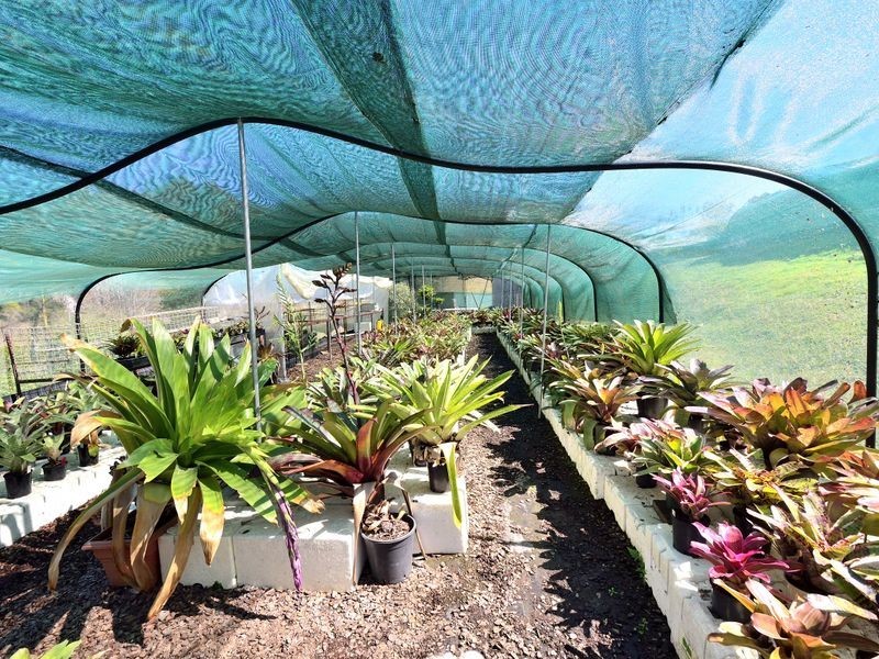 42 Peedee Road, Bellbrook NSW 2440