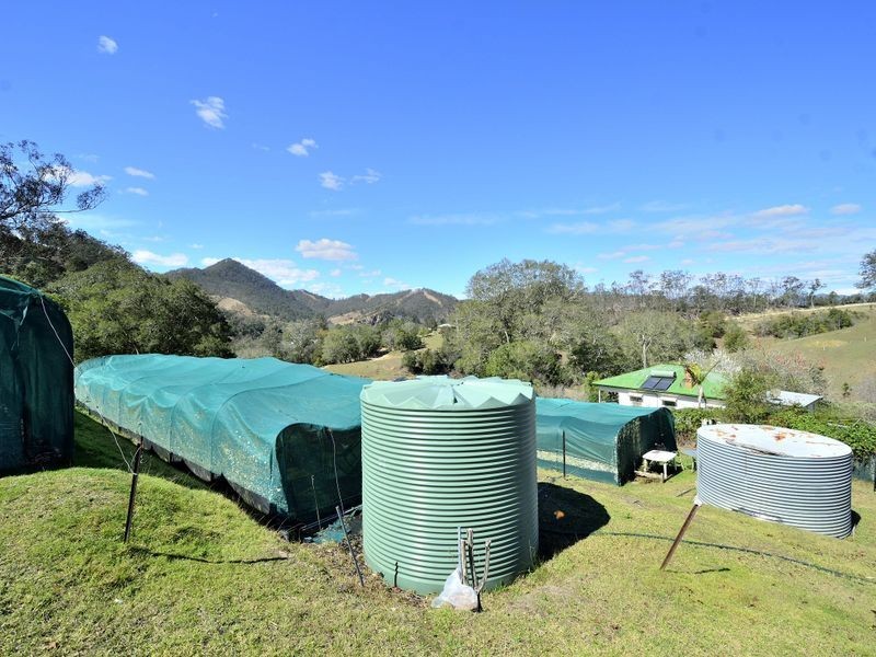 42 Peedee Road, Bellbrook NSW 2440