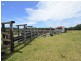 653 Maria River Rd, Crescent Head NSW 2440