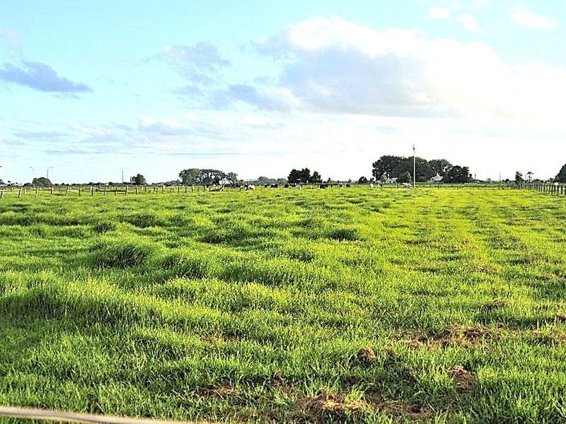 1399 Pacific Highway, Aldavilla NSW 2440