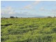 1399 Pacific Highway, Aldavilla NSW 2440