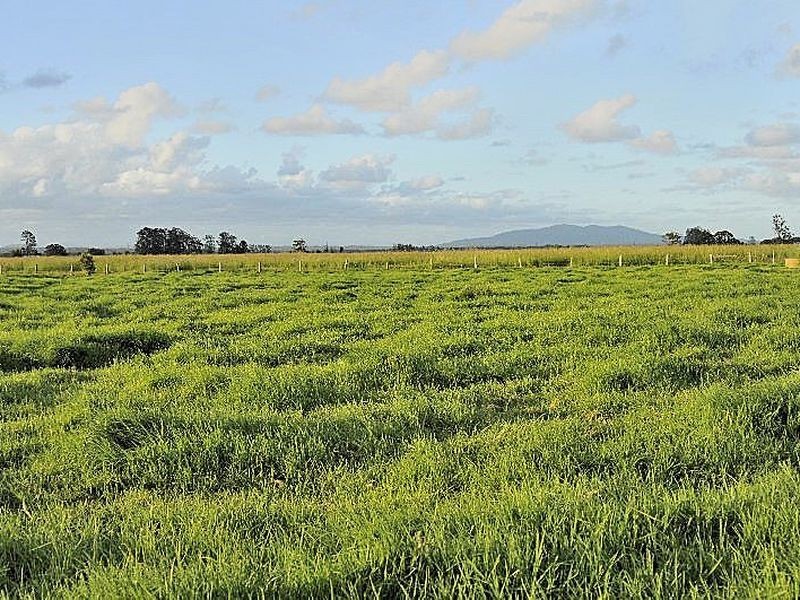 1399 Pacific Highway, Aldavilla NSW 2440