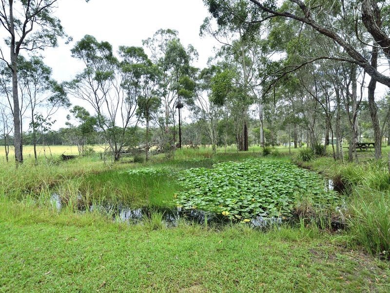 24 The Ponds Way, Aldavilla NSW 2440