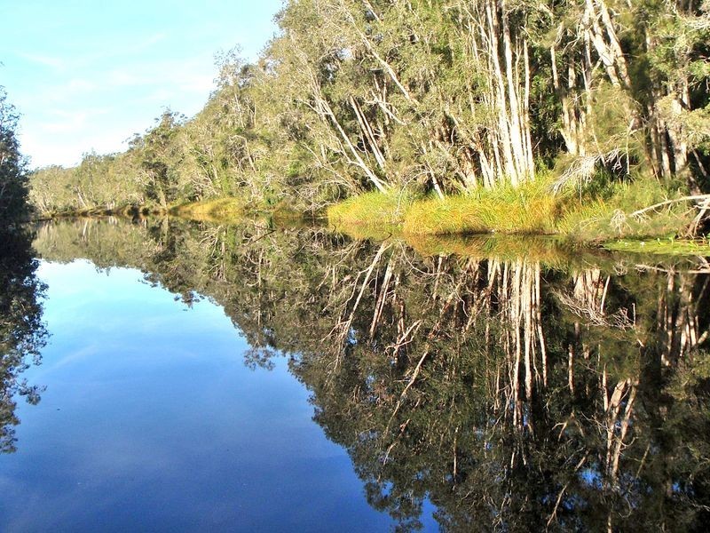 910 Maria River Road, Crescent Head NSW 2440