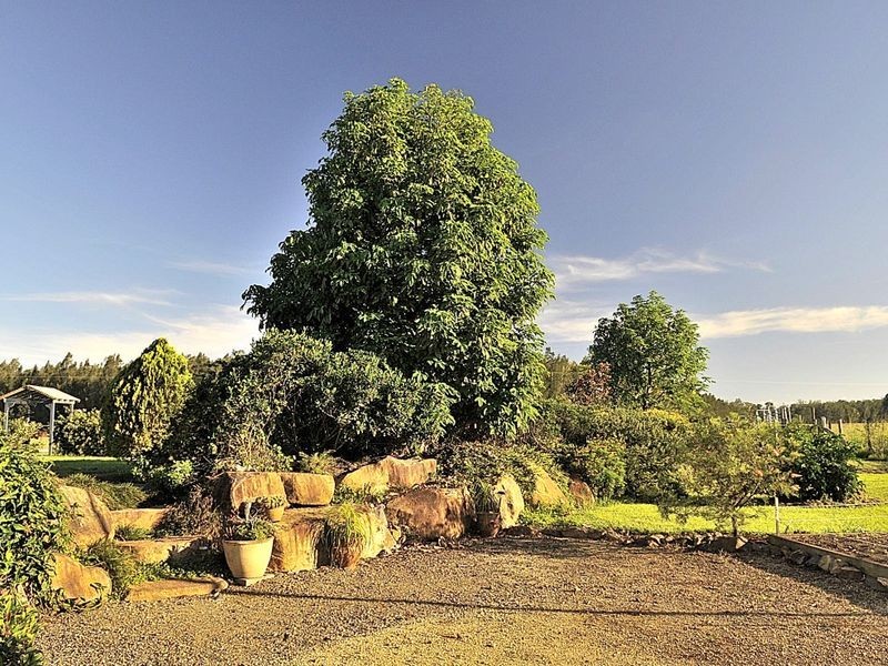 910 Maria River Road, Crescent Head NSW 2440