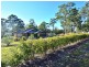 64 John Lane Road, Yarravel NSW 2440