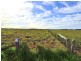 Lots 208 & Hills Lane, Summer Island NSW 2440