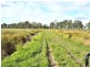 Lots 208 & Hills Lane, Summer Island NSW 2440