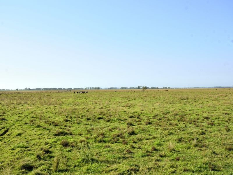 Lots 175 & Syd Sutherlands Lane, Aldavilla NSW 2440