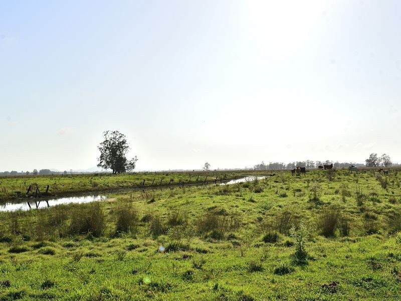 Lots 175 & Syd Sutherlands Lane, Aldavilla NSW 2440