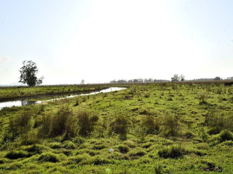 Lots 175 & Syd Sutherlands Lane, Aldavilla NSW 2440