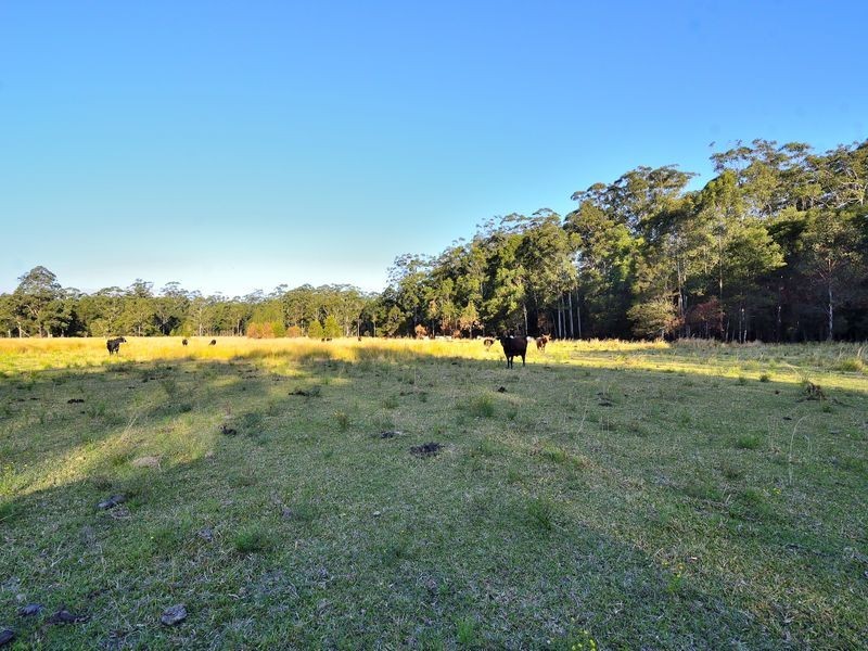 Chain ‘O’ Ponds Road, Collombatti NSW 2440