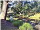 Chain ‘O’ Ponds Road, Collombatti NSW 2440