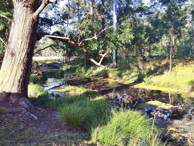 Chain ‘O’ Ponds Road, Collombatti NSW 2440