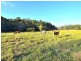 Chain ‘O’ Ponds Road, Collombatti NSW 2440