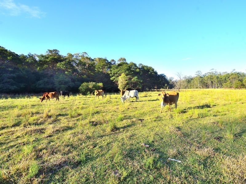 Chain ‘O’ Ponds Road, Collombatti NSW 2440