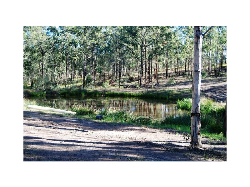 320 Mines Road, Mungay Creek NSW 2440