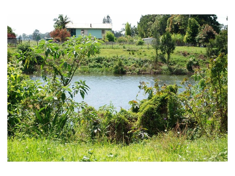 82 Left Bank Road, Belmore River NSW 2440