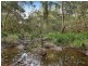 Lot 11 Dungay Creek Road, Wittitrin NSW 2440
