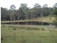 1512 Collombatti Road, Collombatti NSW 2440