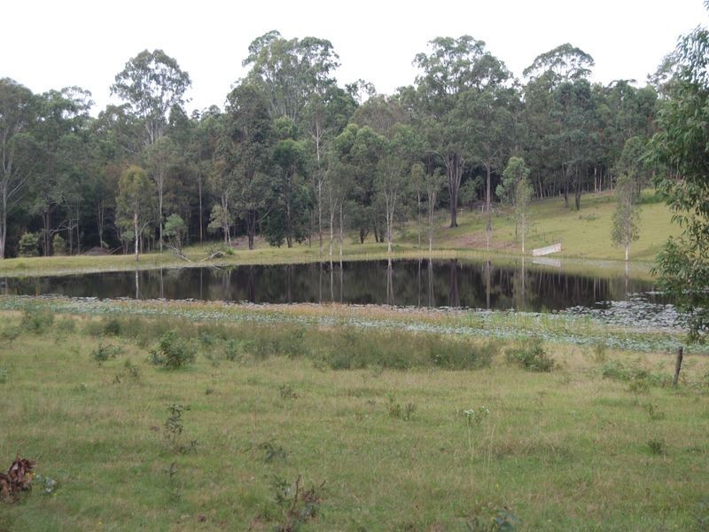 1512 Collombatti Road, Collombatti NSW 2440