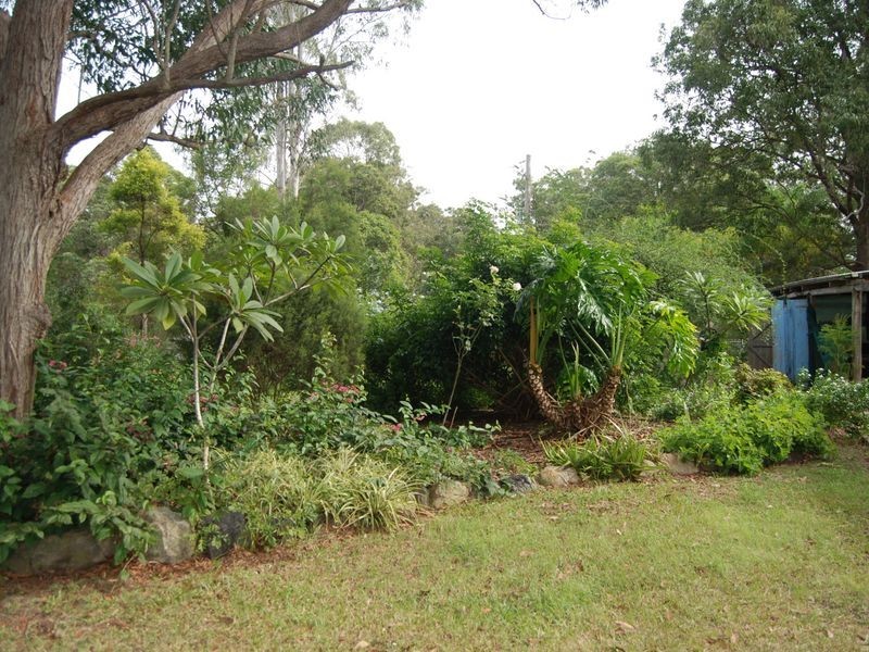 1512 Collombatti Road, Collombatti NSW 2440