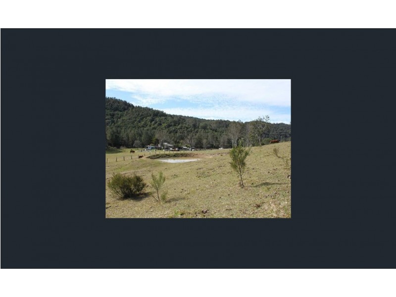 1201 Dungay Creek Road, Wittitrin NSW 2440