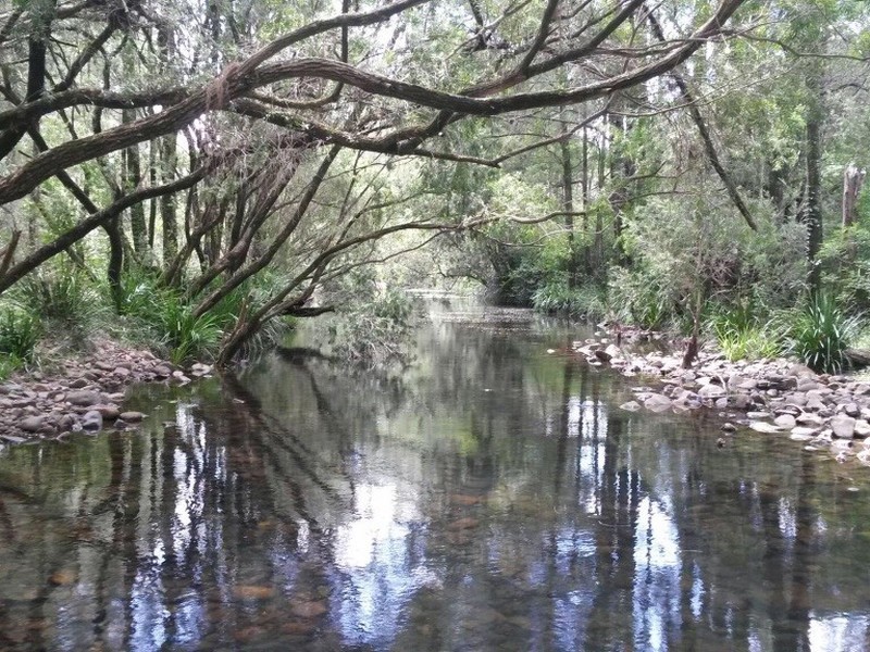 1201 Dungay Creek Road, Wittitrin NSW 2440