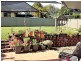8 Cecil Baldwin Close, Kempsey NSW 2440