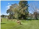 3 Geoffrey Debenham, Kempsey NSW 2440