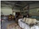 4742 Armidale Road, Bellbrook NSW 2440