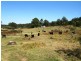 1732-1792 Cochrane Firetrail, Carrai NSW 2440