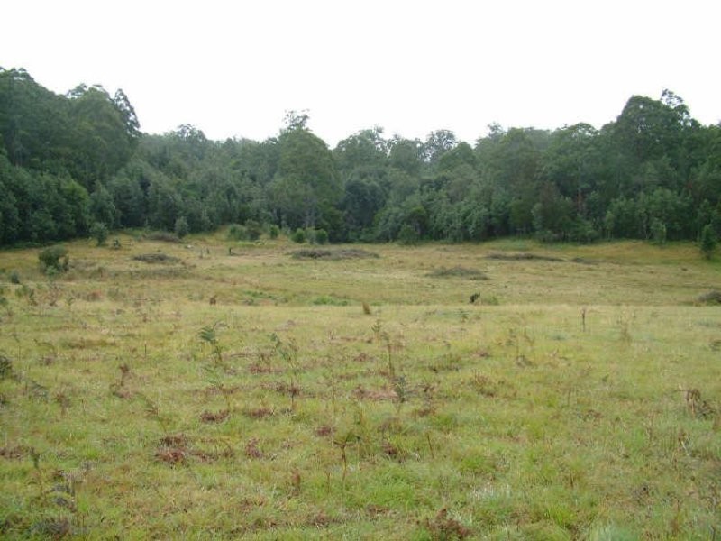 1732-1792 Cochrane Firetrail, Carrai NSW 2440