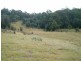 1732-1792 Cochrane Firetrail, Carrai NSW 2440