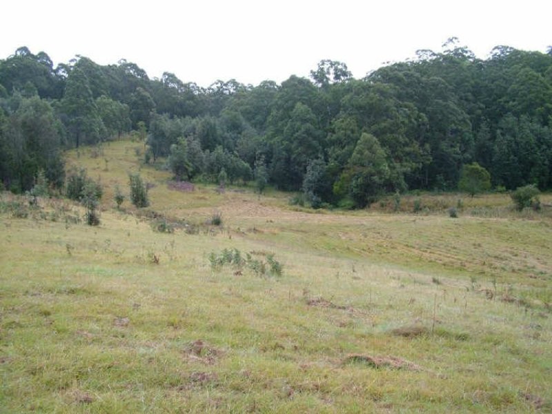 1732-1792 Cochrane Firetrail, Carrai NSW 2440