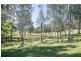 00 Billybyang Creek Road, Millbank NSW 2440