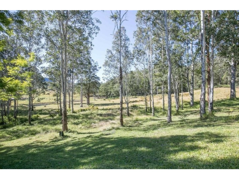 00 Billybyang Creek Road, Millbank NSW 2440