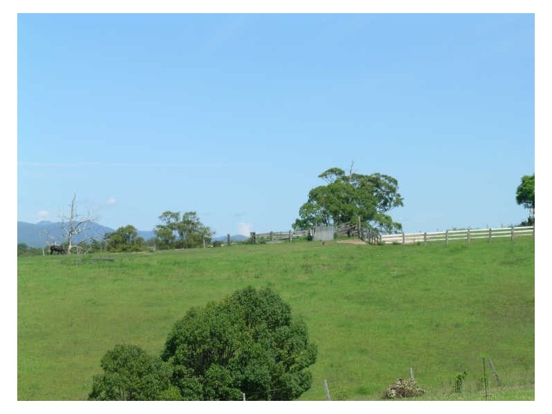 4 Springfields Drive, Aldavilla NSW 2440