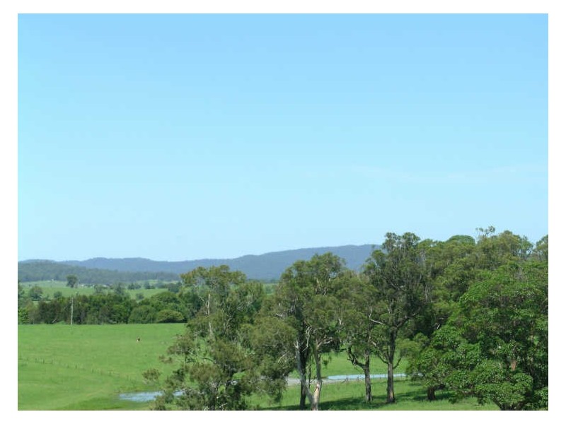 4 Springfields Drive, Aldavilla NSW 2440