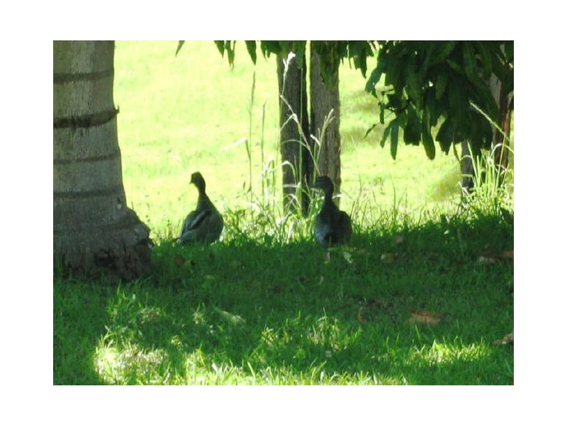 Kempsey NSW 2440