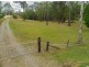 161 Bushland Drive, Yarravel NSW 2440