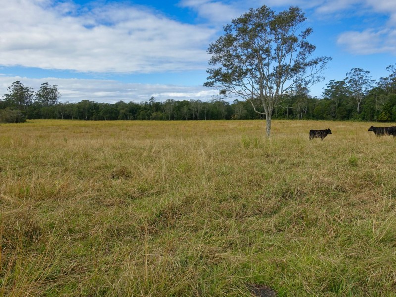 Collombatti NSW 2440