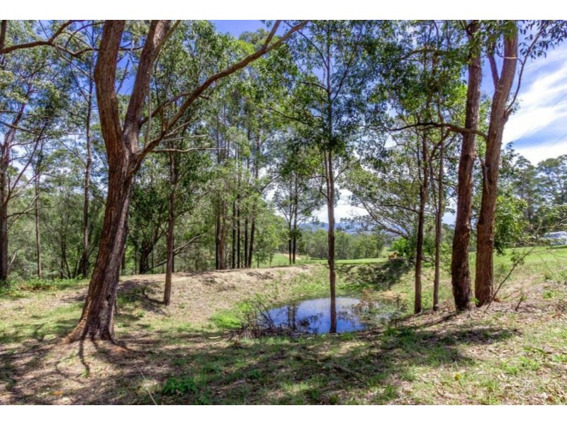 511 Armidale Road, Mooneba NSW 2440